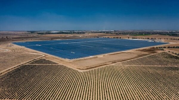 Solgreen